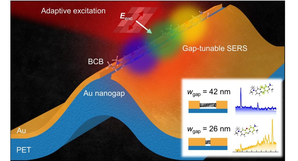 Schematic illustration of gap-tunable SERS sensing for BCB molecules using a flexible Au nanogap, in combination with adaptive excitation wavefront shaping.
