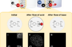 Schematic-illustrating-the-anion-exchange-process-in-the-AER.png