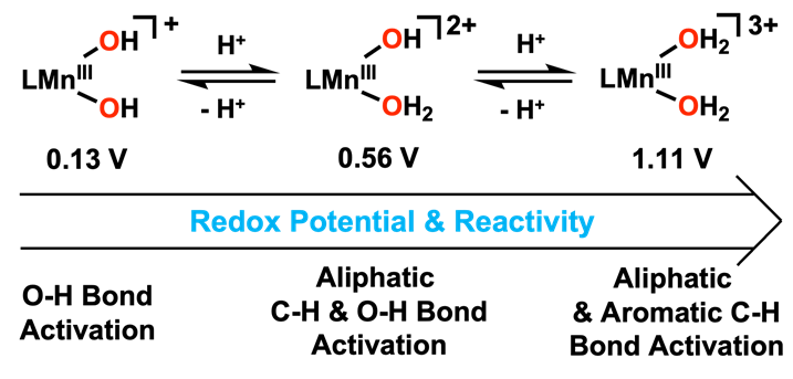 Figure 1. Schematic image, showing the difference in reactivity between a manganese(III)–hydroxo and a manganese(III)–aqua complex.