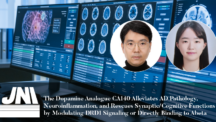 New Study Reveals Dopamine Analogue CA140 Mitigates Alzheimer’s Disease Pathology