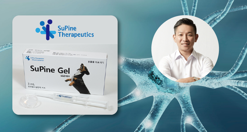 Revolutionary SuPine Gel Offers New Hope for Treating Spinal Discs in Dogs