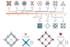 Discovery-of-new-Zr6-based-MOFs-with-bct-1-and-scu-1-configurations..png