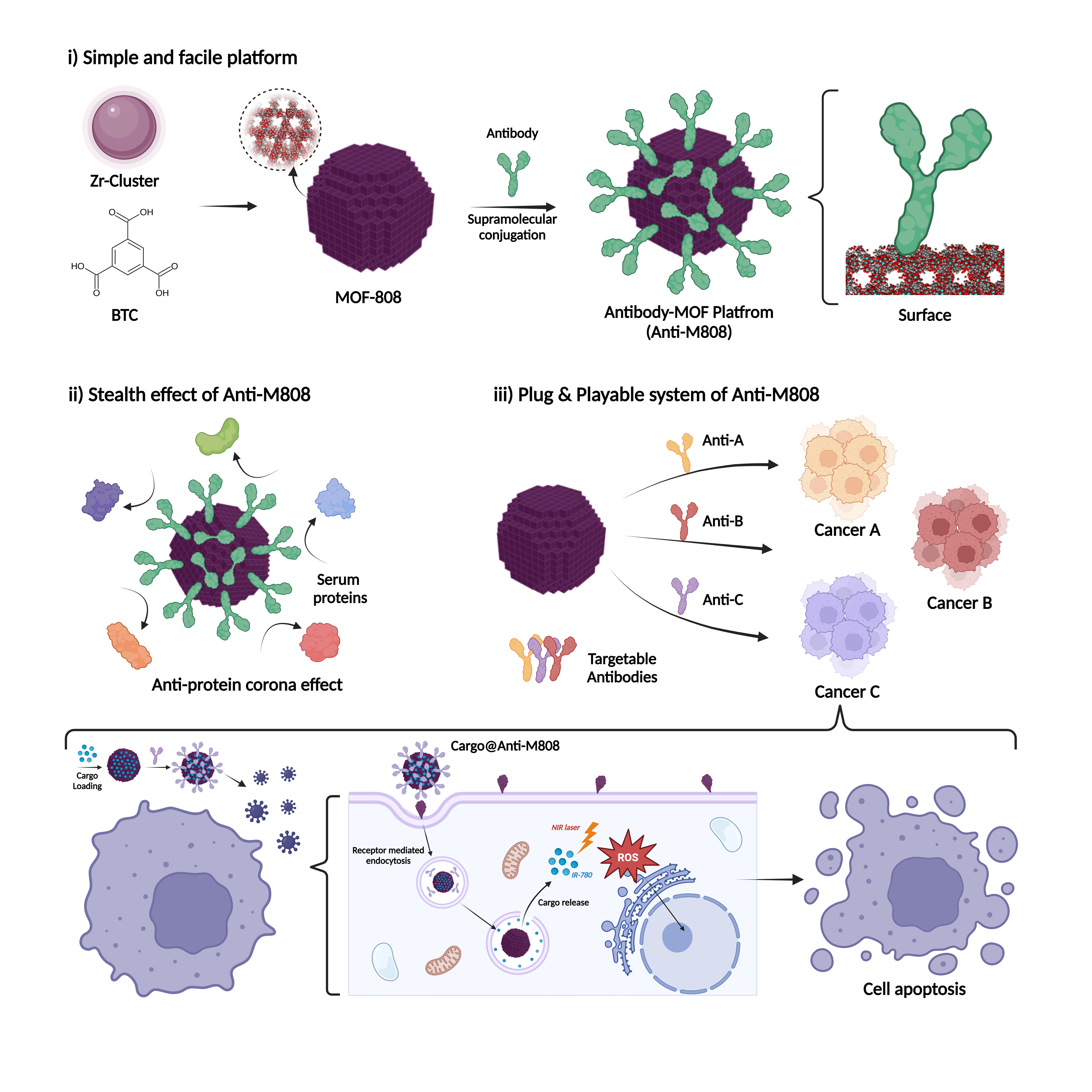 Figure 1. Shown above is the cloaking antibody–MOF platform. 