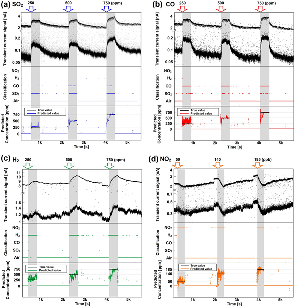 Figure 7. Real-time prediction of gas type and concentration for five gases