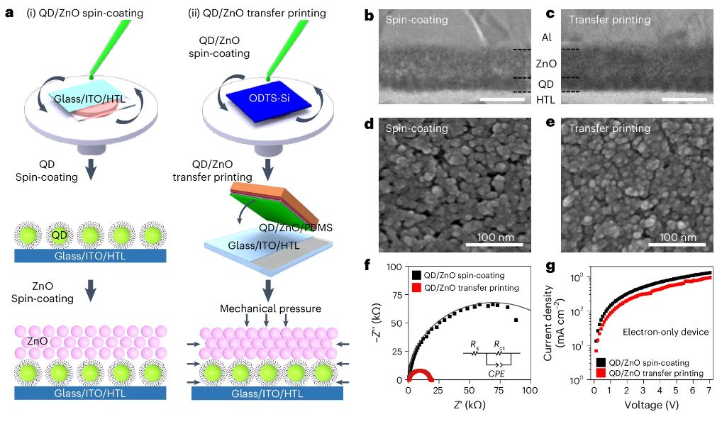 The schematic illustrations depicting the analysis of QD/ZnO DL films depending on the fabrication methods used.