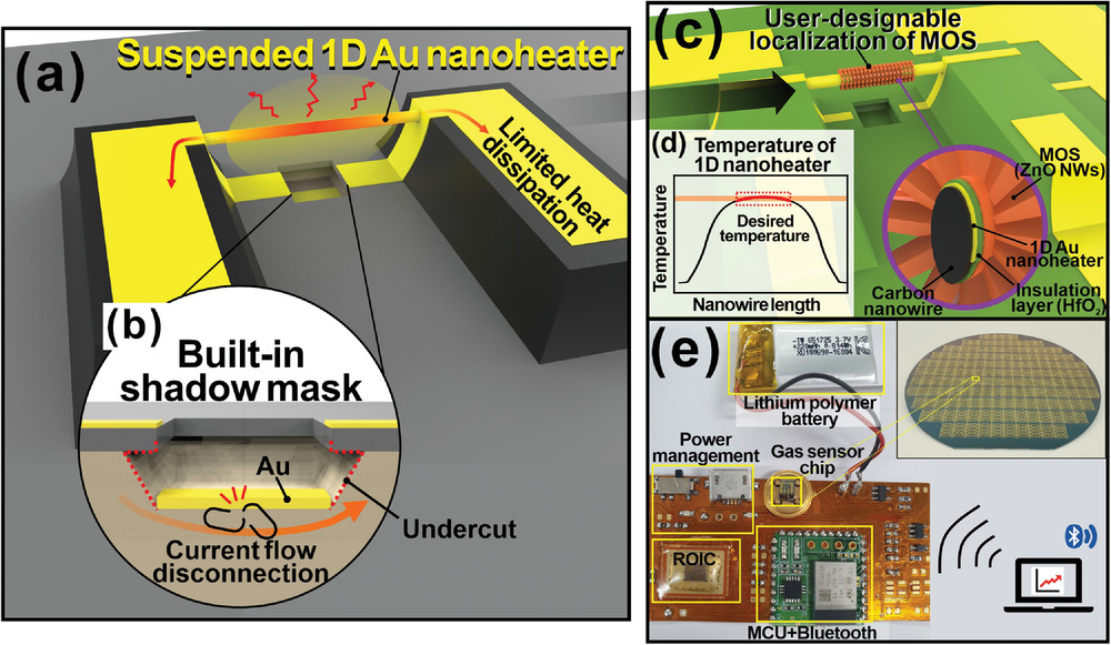 smll202204078-fig-0001-m