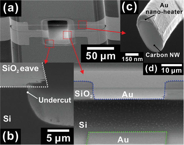 smll202204078-fig-0003-m