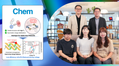 New Organic Semiconducting Materials Aimed at Enhancing the Efficiency and Stability of Blue OLEDs