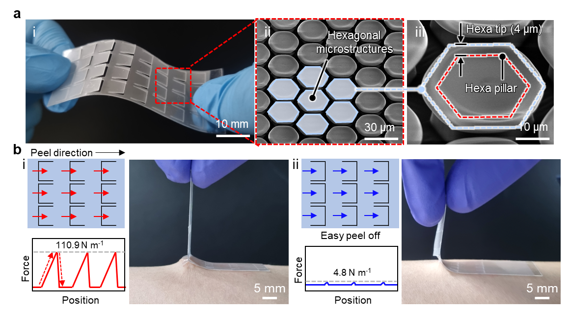 Figure 1. Fabrication of crack-trapping hybrid adhesive patch.