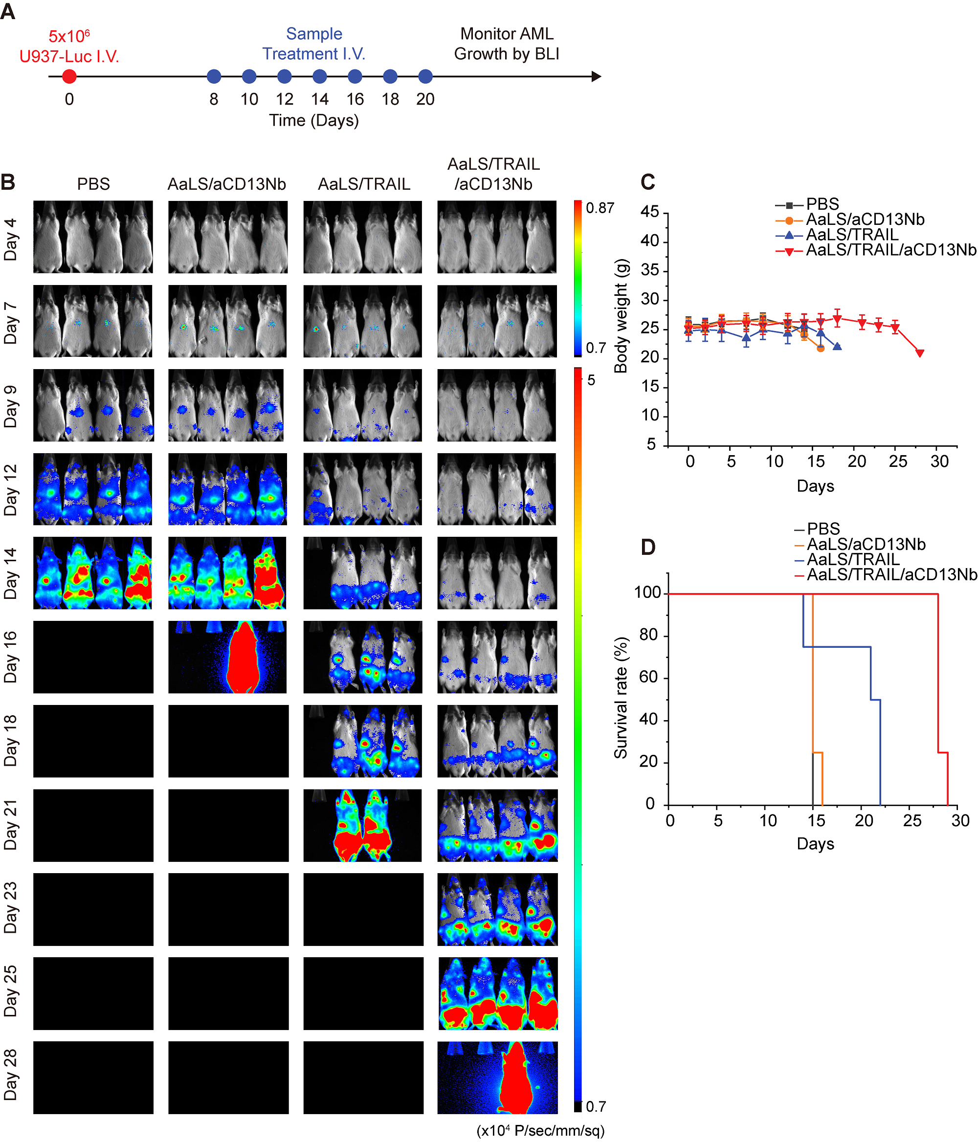 Figure 2. In vivo anticancer efficacy of AaLS/TRAIL/aCD13Nb