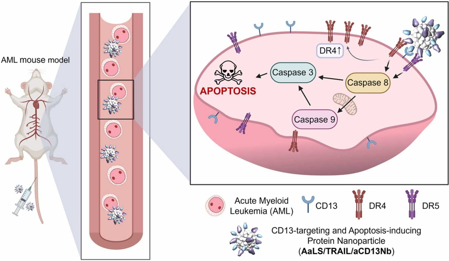 Figure 1. Schematic image describing the overall research.