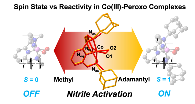 Figure 1. Schematic image, illustrating the overall research.