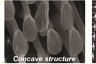 Inceptive-design-for-concave-pillar-microstructure-fabrication..png