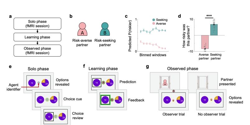 Figure 1. Experimental paradigm.