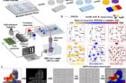 High-throughput-synthesis-of-multiple-plasmonic-colored-microarchitectures-via-digital-mask-flow-micro-lithography-systems..png