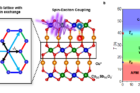 Schematics-of-spin-exchange-interaction-spin-exciton-coupling-and-the-phase-diagram-of-Cu3Co2SbO6.png