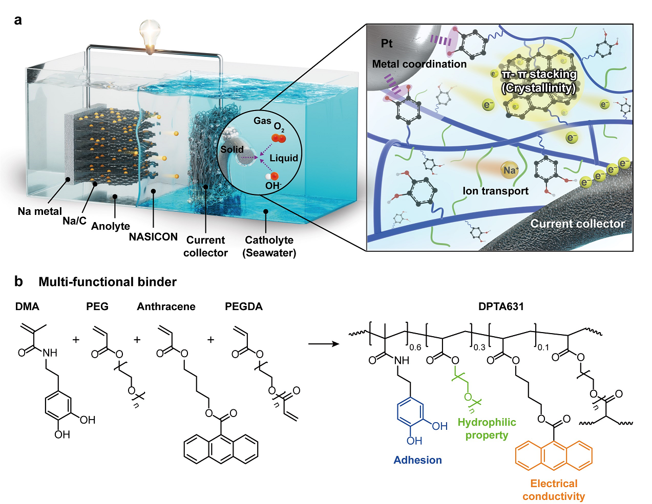 Aqueous sodium–air batteries