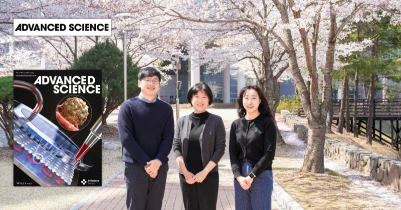 New Study Unveils Revolutionary Chip Technology for Studying Tumor Spheroid-Endothelial Interactions