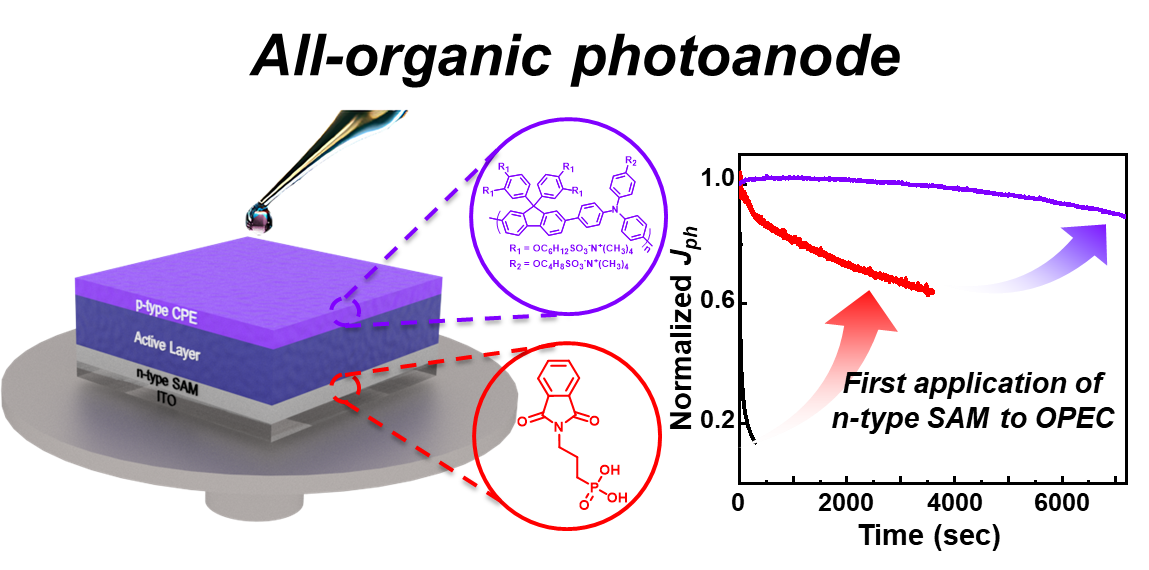 Figure 1. Schematic image, illustrating the structure and performance of the highly stable all-in-one photoelectrode.