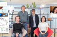 New Insights into Safe Cell Division: Key Protein as the Last Line of Defense Against DNA Bridges
