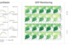 AI-Based-Daily-Photosynthesis-Monitoring-and-Analysis-of-the-Impact-of-Fine-Dust.png