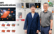 Revolutionary Low-Emission NH3 Production Method Achieves 5.6-Fold Increase in Yield Using Silicon Nitride