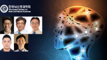 Light Therapy Reduces Alcohol Cravings Without Medication — Promising Digital Treatment Demonstrated in Joint Clinical Trials
