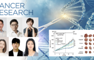 New Gene Editing Technology Enables Selective Destruction of Cancer Cell DNA Using Fewer Targets