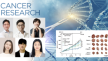 New Gene Editing Technology Enables Selective Destruction of Cancer Cell DNA Using Fewer Targets