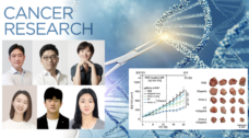 New Gene Editing Technology Enables Selective Destruction of Cancer Cell DNA Using Fewer Targets