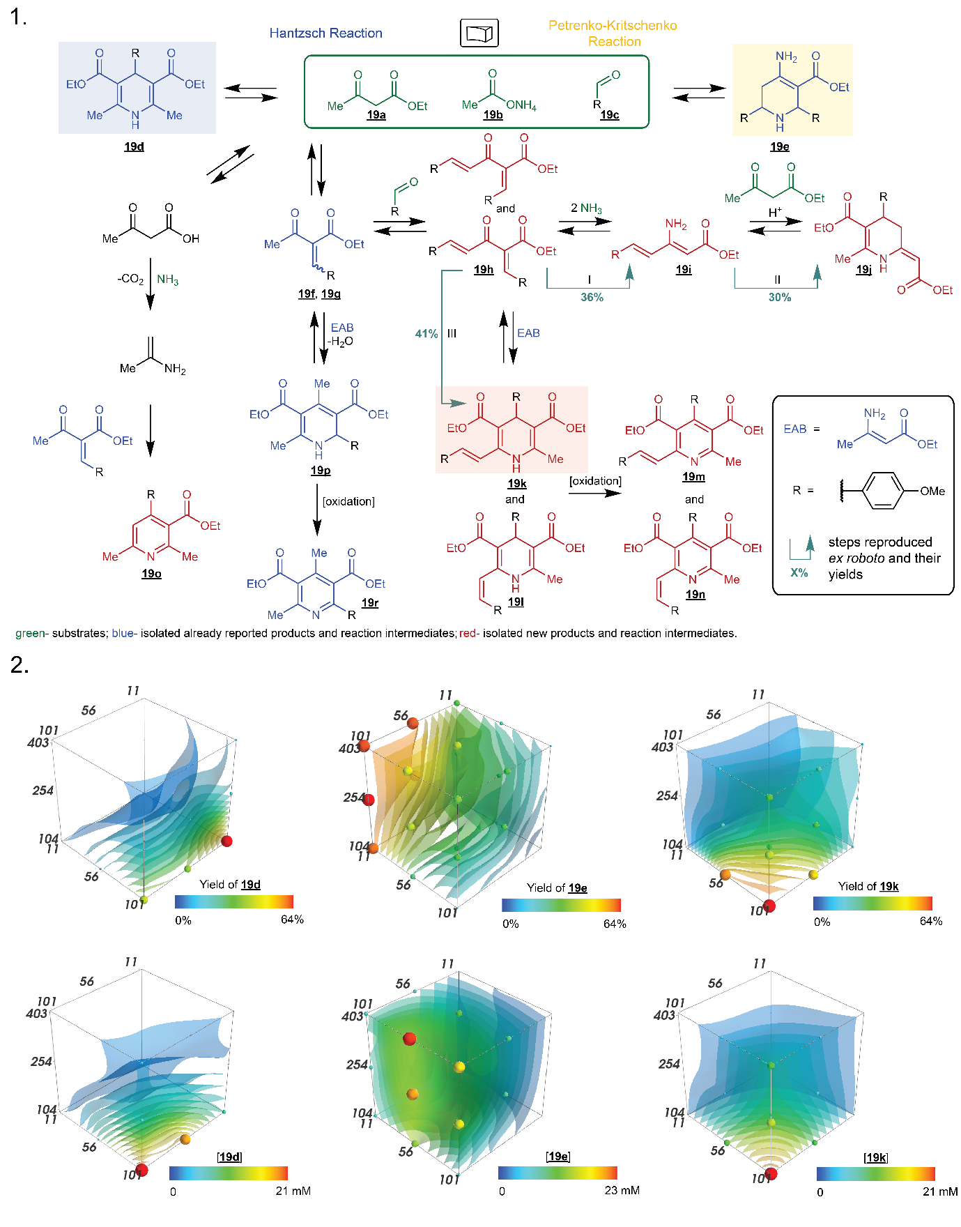 Figure 2. a. Reconstructed network of Hantzsch reaction. b. Yield (top) and concentration (bottom) distribution maps for three main products of the Hantzsch reaction at 80 °C.