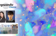 New Study Unveils Opal-Inspired Structural Color Polymer Particles with Nano-Hole Architecture