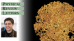 Twice Around to Return Home: A Hidden Reset Button for Spins and Qubits