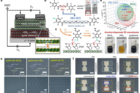 Schematic-overview-of-the-fully-photopatterned-2D-nanomaterial-based-FET-fabrication-process..jpg