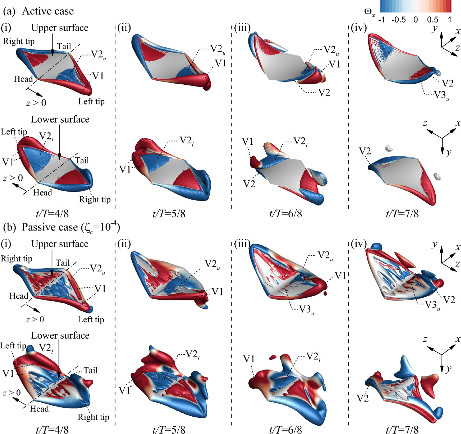 Figure 2. 3D vortical structures visualized by the isosurface of Q-criterion (Q = 1.5) around the ray when (i) t/T = 4/8, (ii) t/T = 5/8, (iii) t/T = 6/8, and (iv) t/T = 7/8: (a) active case and (b) passive case with ζc = 10−4. The isosurface of Q = 1.5 is colored by the horizontal component of vorticity (ωx).