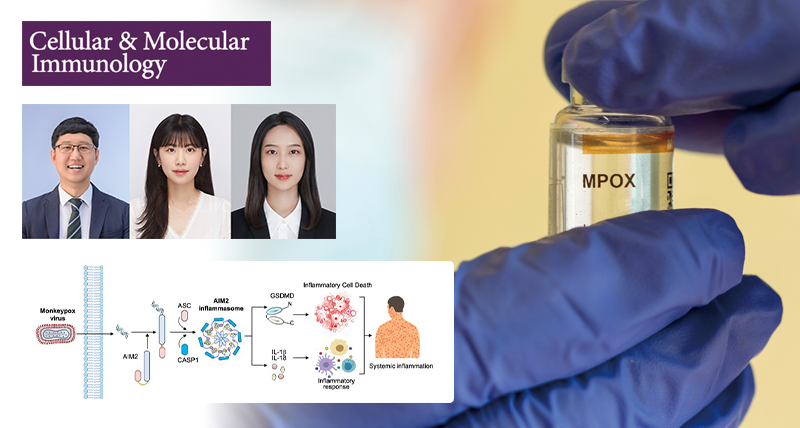 New Study Identifies AIM2 as a Key Inflammasome Sensor in MPXV Infection