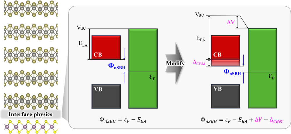 Figure 1. Schematic image illustrating the overall study of the research.