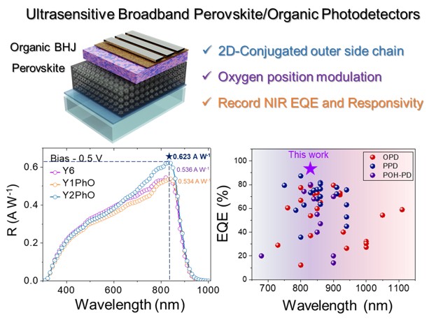 Figure 1. Schematic image, illustrating the optoelectronic performance of perovskite-organic heterojunction photodetectors (POH-PDs). 