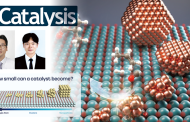 New Study Unveils the Optimal Rhodium Catalyst Size for Hydroformylation Advancing Reusable High-Performance Heterogeneous Catalysts