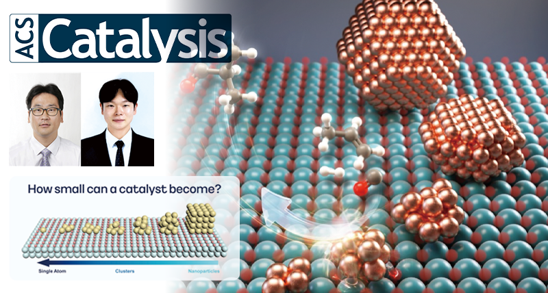 New Study Unveils the Optimal Rhodium Catalyst Size for Hydroformylation Advancing Reusable High-Performance Heterogeneous Catalysts
