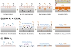 Fig.-8.-Schematic-illustration-of-the-mechanisms-for-near-surface-microstructure-formation-in-samples-subjected-to-final-annealing-under-different-atmospheres..jpg
