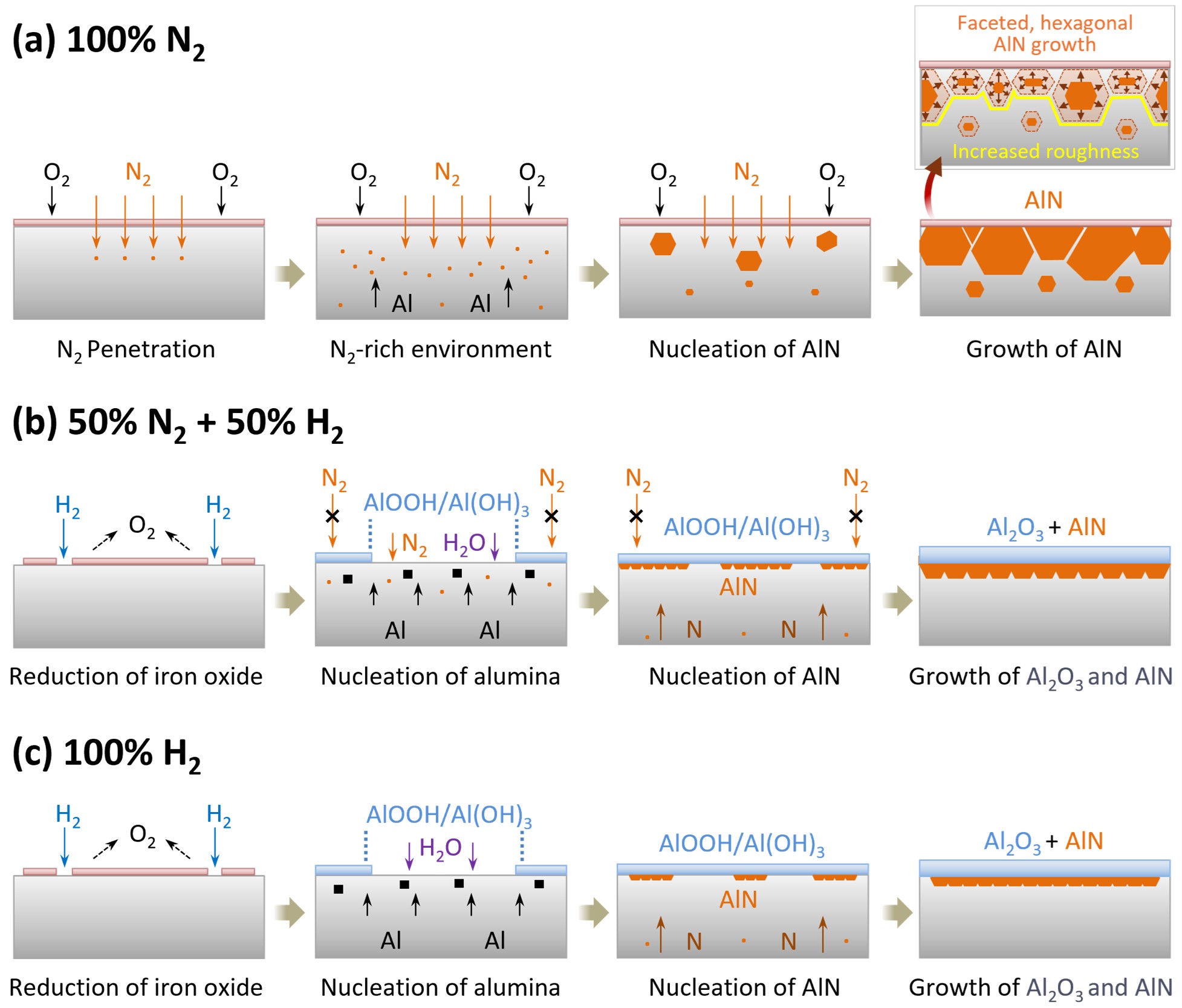 Fig. 8. Schematic illustration of the mechanisms for near-surface microstructure formation in samples subjected to final annealing under different atmospheres.
