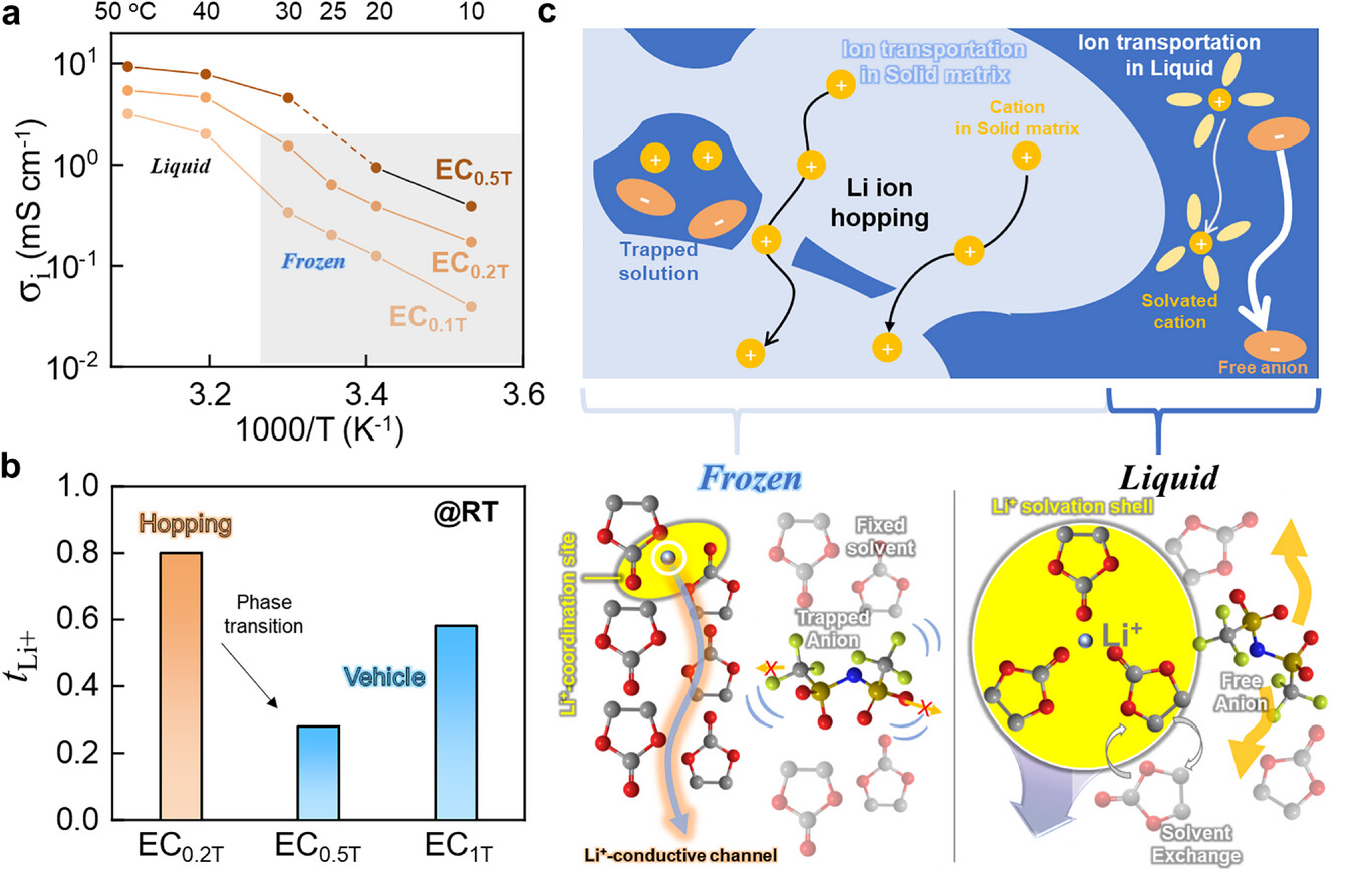 Ion transporting properties of organic ice electrolytes