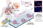 Overview-of-the-microfluidic-assay-for-cancer-associated-leukocyte-adhesion-profiling.png