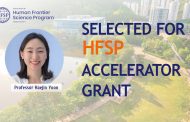 Decoding Fear’s Chemistry: Professor Haejin Yoon Wins HFSP Accelerator Grant