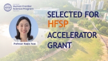 Decoding Fear’s Chemistry: Professor Haejin Yoon Wins HFSP Accelerator Grant