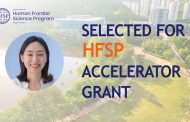 Decoding Fear’s Chemistry: Professor Haejin Yoon Wins HFSP Accelerator Grant