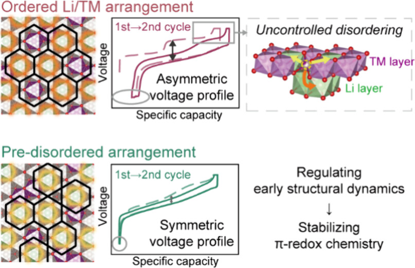 Figure 1. Schematic overview of the overall study design.