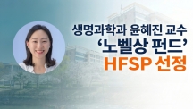 Decoding Fear’s Chemistry: Professor Haejin Yoon Wins HFSP Accelerator Grant
